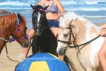 horse-games