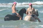 horses-at-the-beach