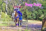 pony-fairy