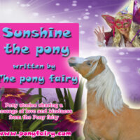Sunshine the pony