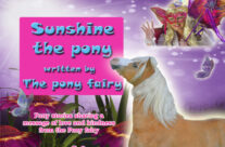 Sunshine the pony