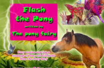 Flash the Pony