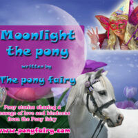 Moonlight the Pony