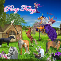 Pony Fairy Puzzle