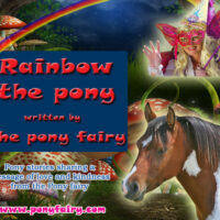Rainbow the Pony
