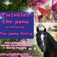 Twinkles the Pony