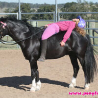 Twinkles and Rider Puzzle