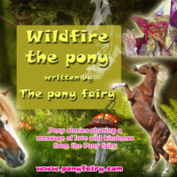 Wildfire the Pony