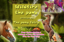 Wildfire the Pony
